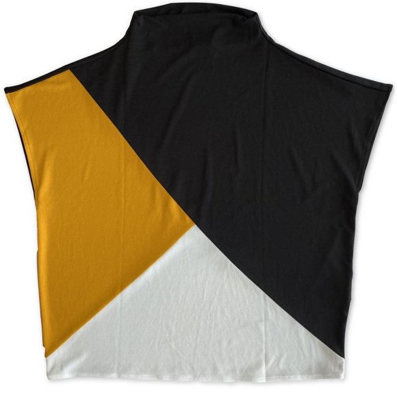 Alfani Tops - NWT Alfani Colorblocked Dropped-Shoulder Crop Top